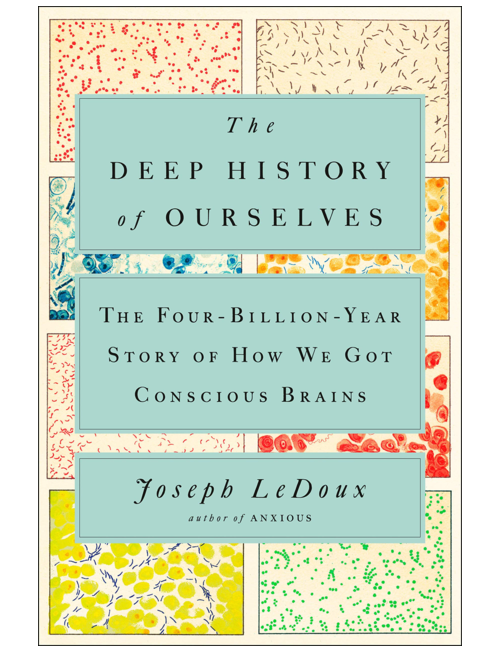 The Deep History of Ourselves The FourBillionYear Story of How We G