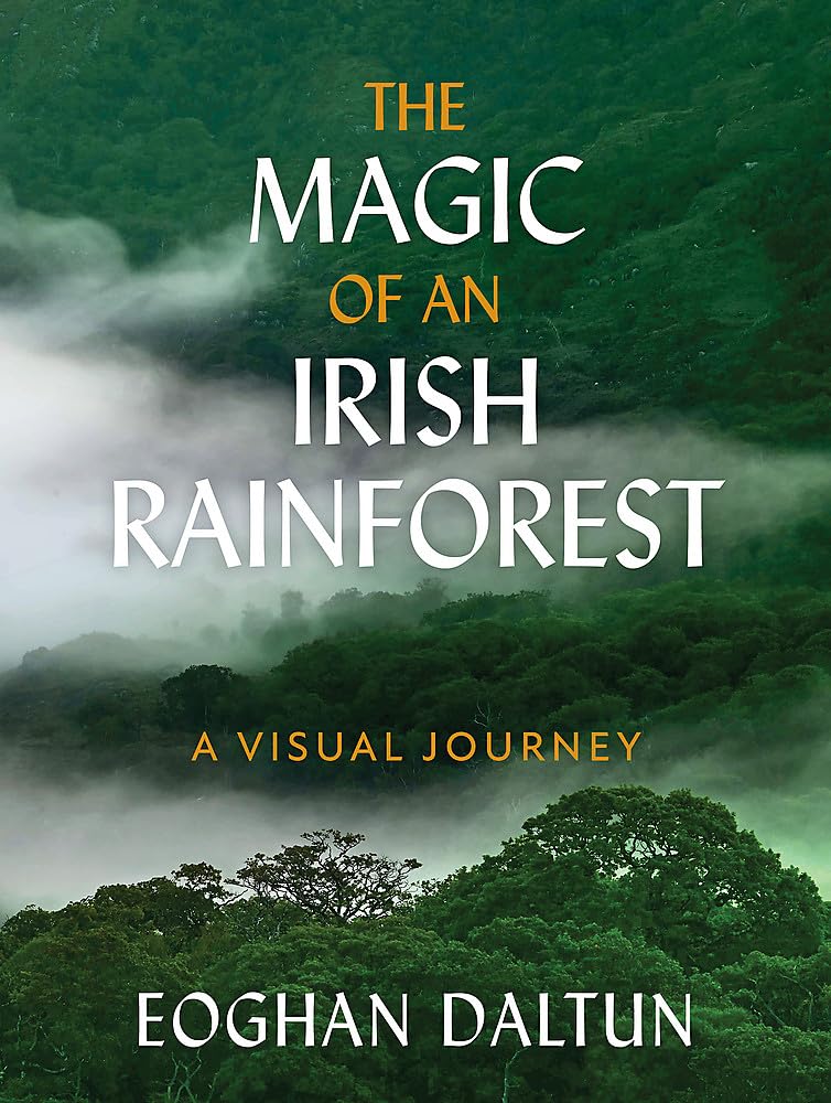 The Magic of an Irish Rainforest: A Visual Journey cover image