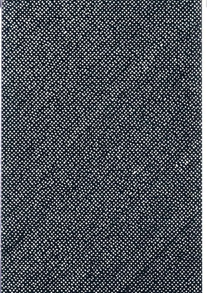 SKULPTUR PROJEKTE MÜNSTER 2017 (Offizieller Katalog) cover image