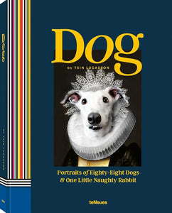 Dog: Portraits of 88 Dogs & One Little Naughty Rabbit (Eighty-eight) cover image
