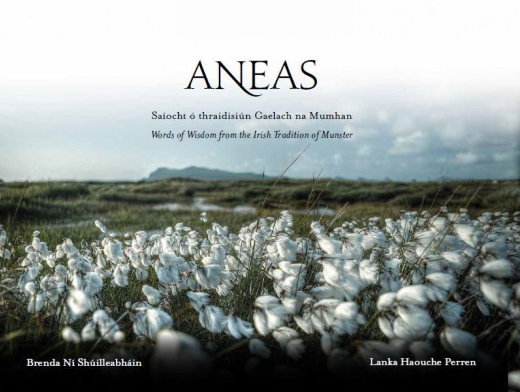 Aneas: Words of Wisdom from the Irish Tradition of Munster