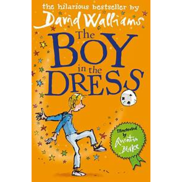The Boy in the Dress  by David Walliams