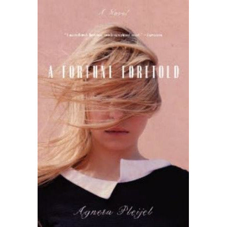 A Fortune Foretold, by Agneta Pleijel