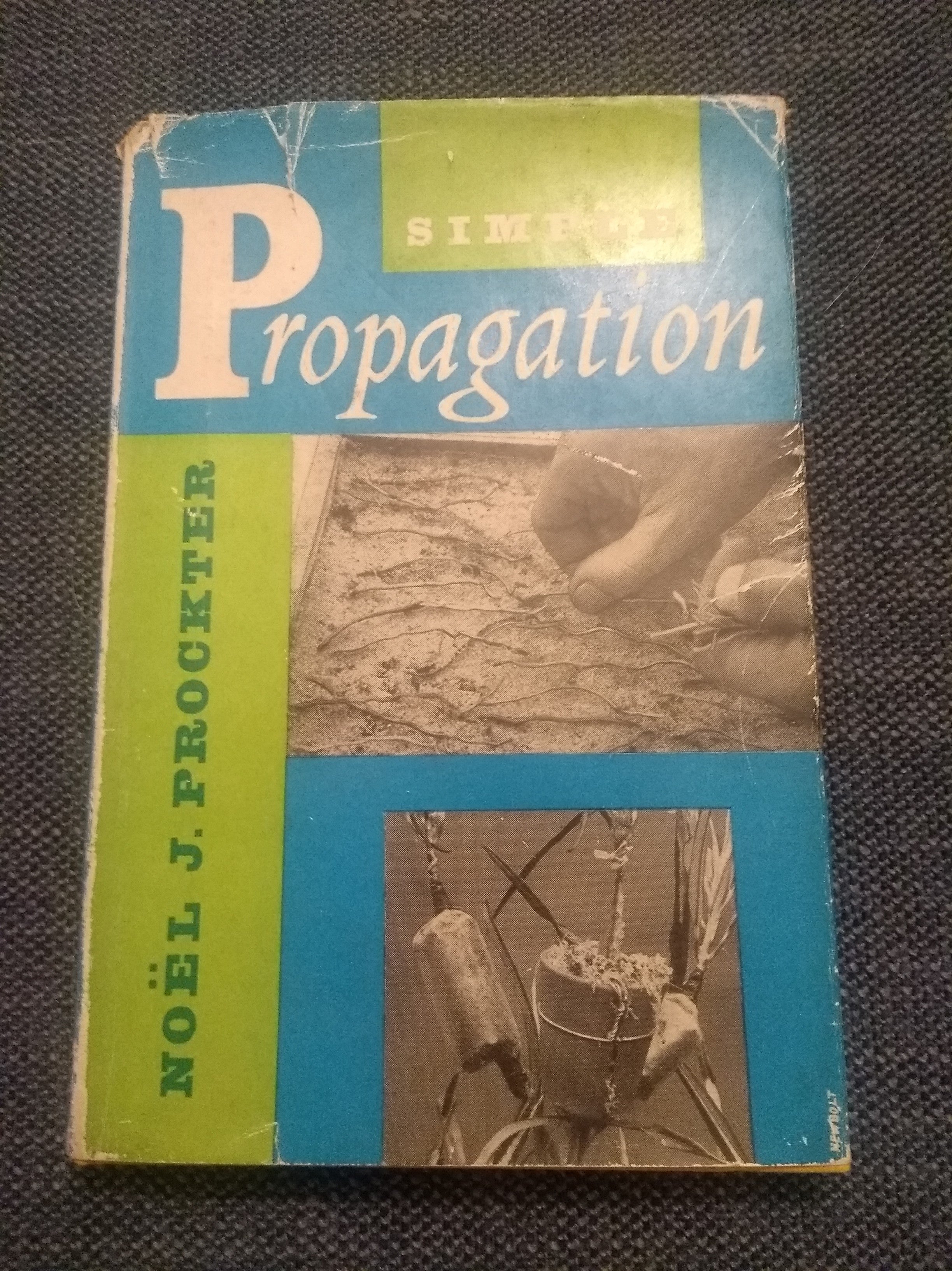 Simple Propagation, by Noel J Prockter