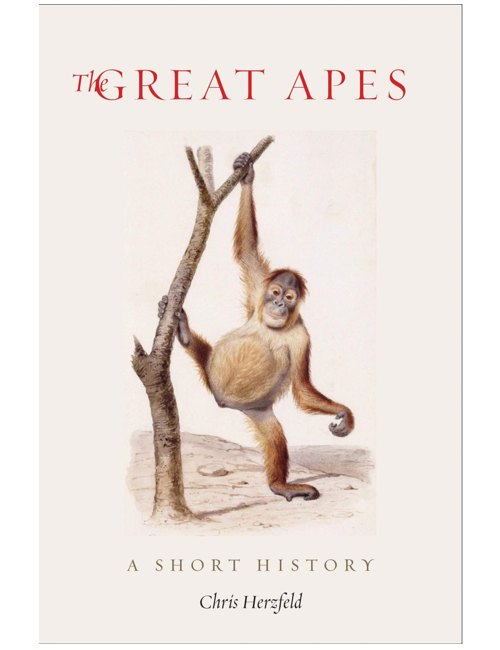 The Great Apes: A Short History, by Chris Herzfeld 