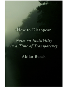 How to Disappear: Notes on Invisibility in a Time of Transparency, by Akiko Busch