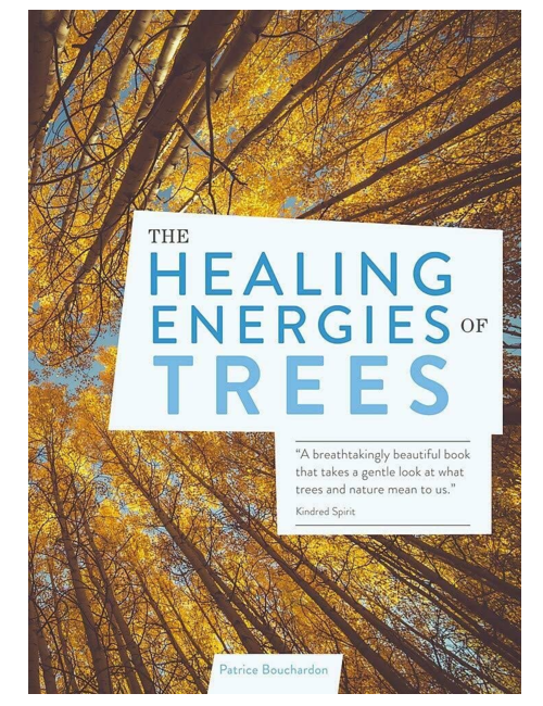 The Healing Energies of Trees, by Patrice Bouchardon