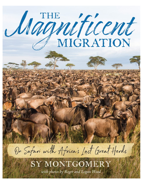 The Magnificent Migration: On Safari with Africa's Last Great Herds, by Sy Montgomery