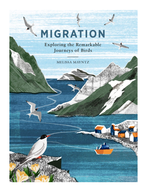 Migration: Exploring the Remarkable Journeys of Birds, by Melissa Mayntz