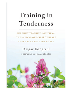Training in Tenderness: Buddhist Teachings on Tsewa, the Radical Openness of Heart That Can Change the World, by Dzigar Kongtrul