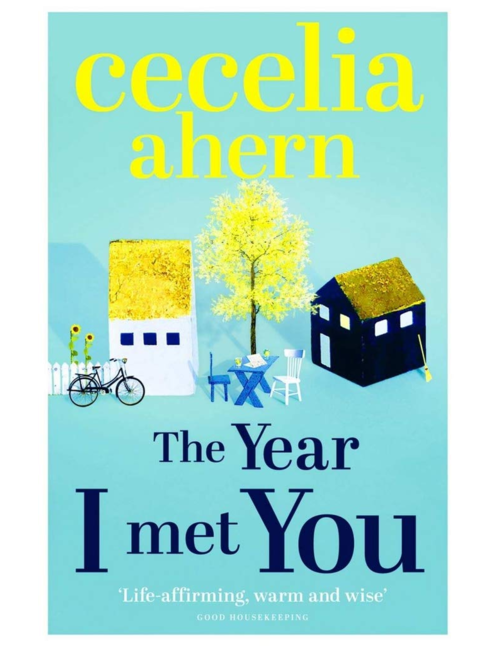 The Year I Met You, by Cecelia Ahern